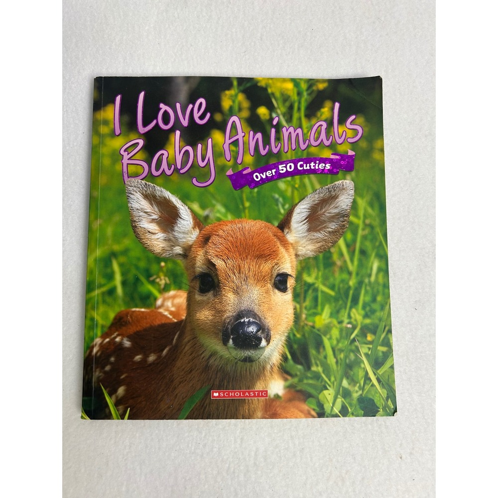 Educational Nature Scholastic Kids Multi I Love‎ Baby Animals Paperback Book